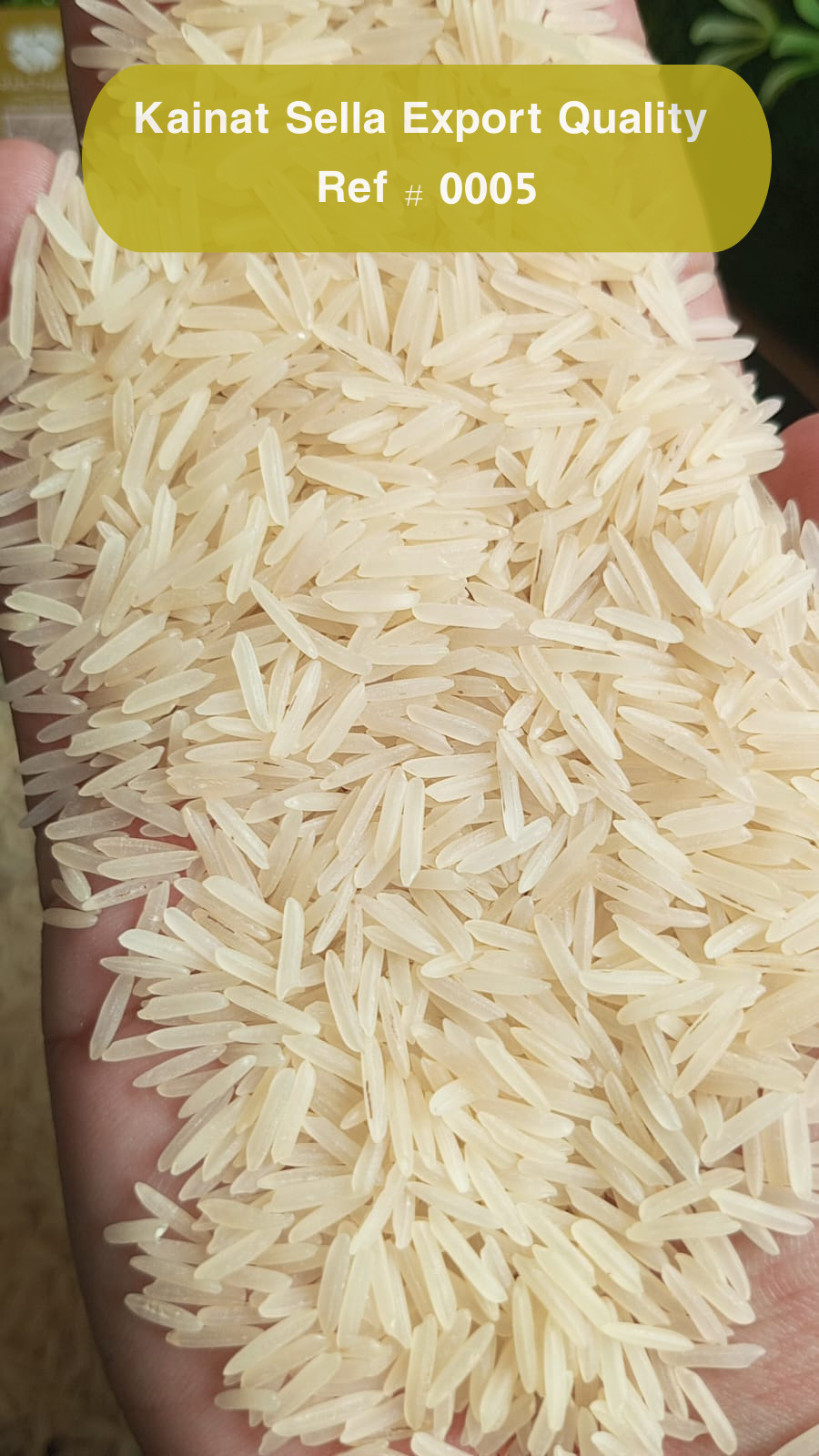 Rice exports
