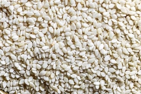 Sesame seed