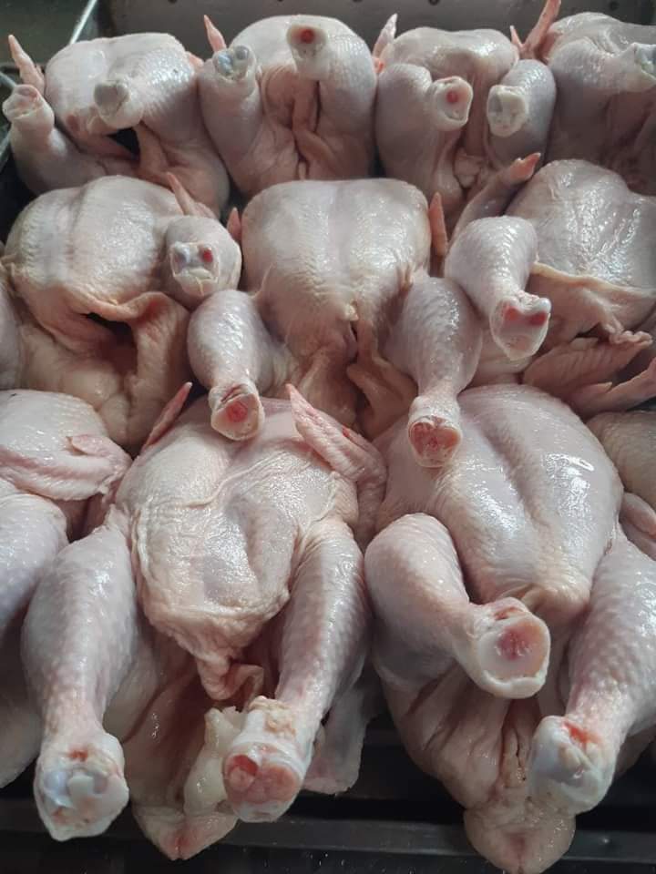 Frozen whole chicken