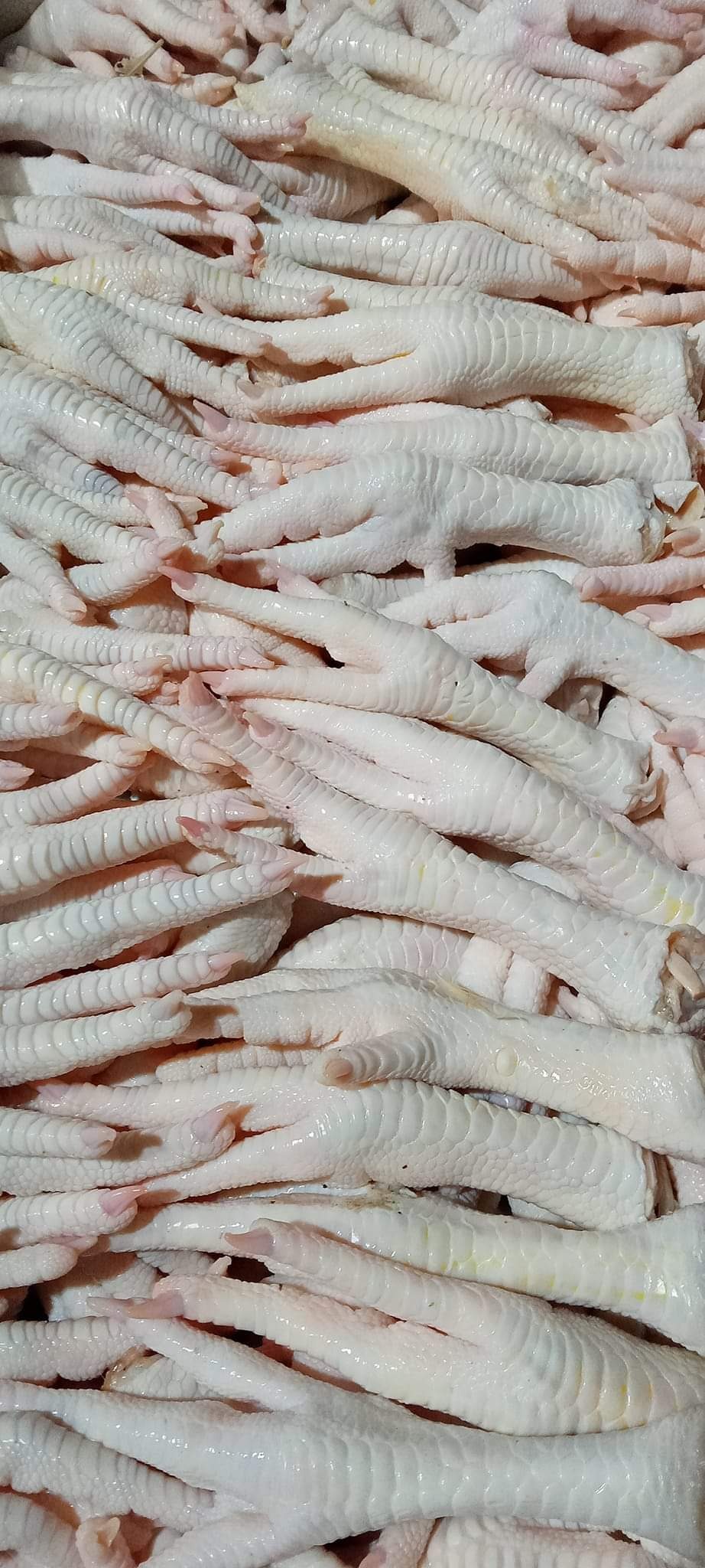 Chicken feet